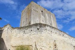 Donjon de Foulques Nerra - Cité royale de Loches