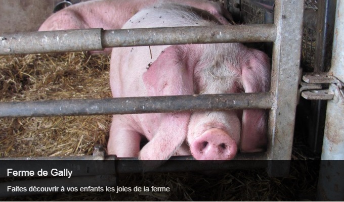 Cliquez sur l'image pour accéder à la fiche sortie de la ferme de Gally